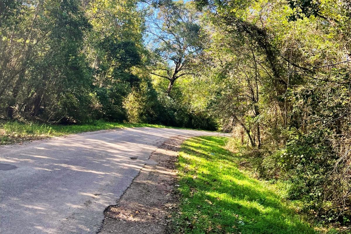 0.11 Acres for Sale in New Caney, Texas