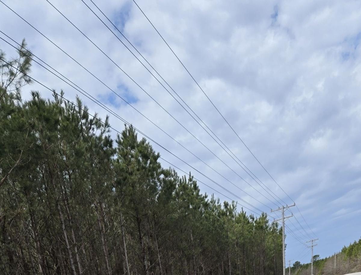 79.48 Acres for Sale in Monticello, Arkansas