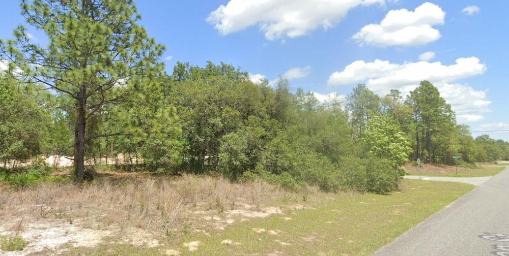 0.41 Acres for Sale in Citrus Springs, Florida