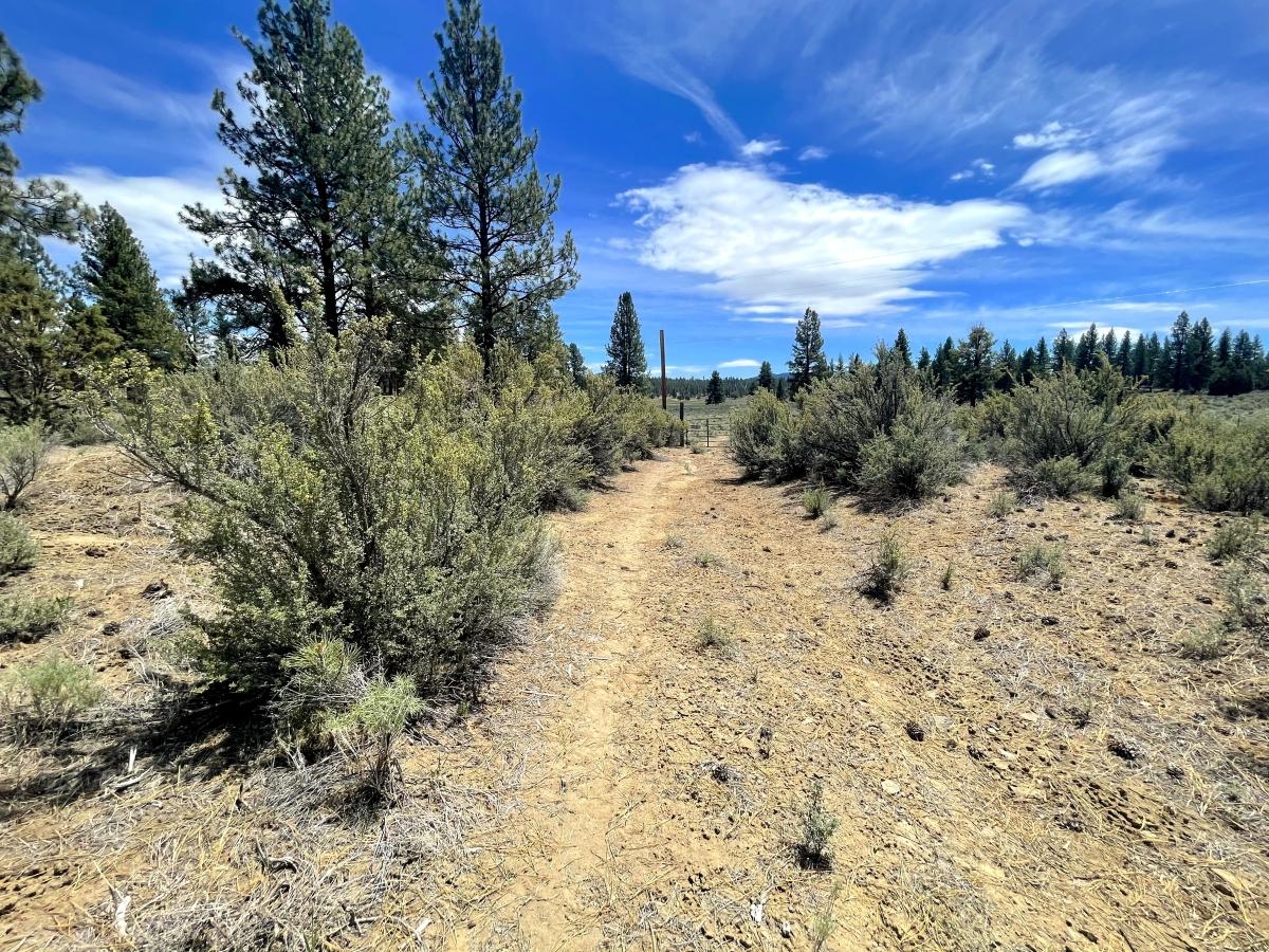 9.60 Acres for Sale in Sprague River, Oregon