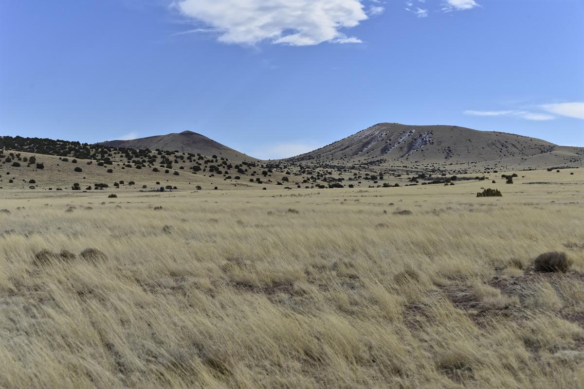 1.01 Acres for Sale in Concho, Arizona