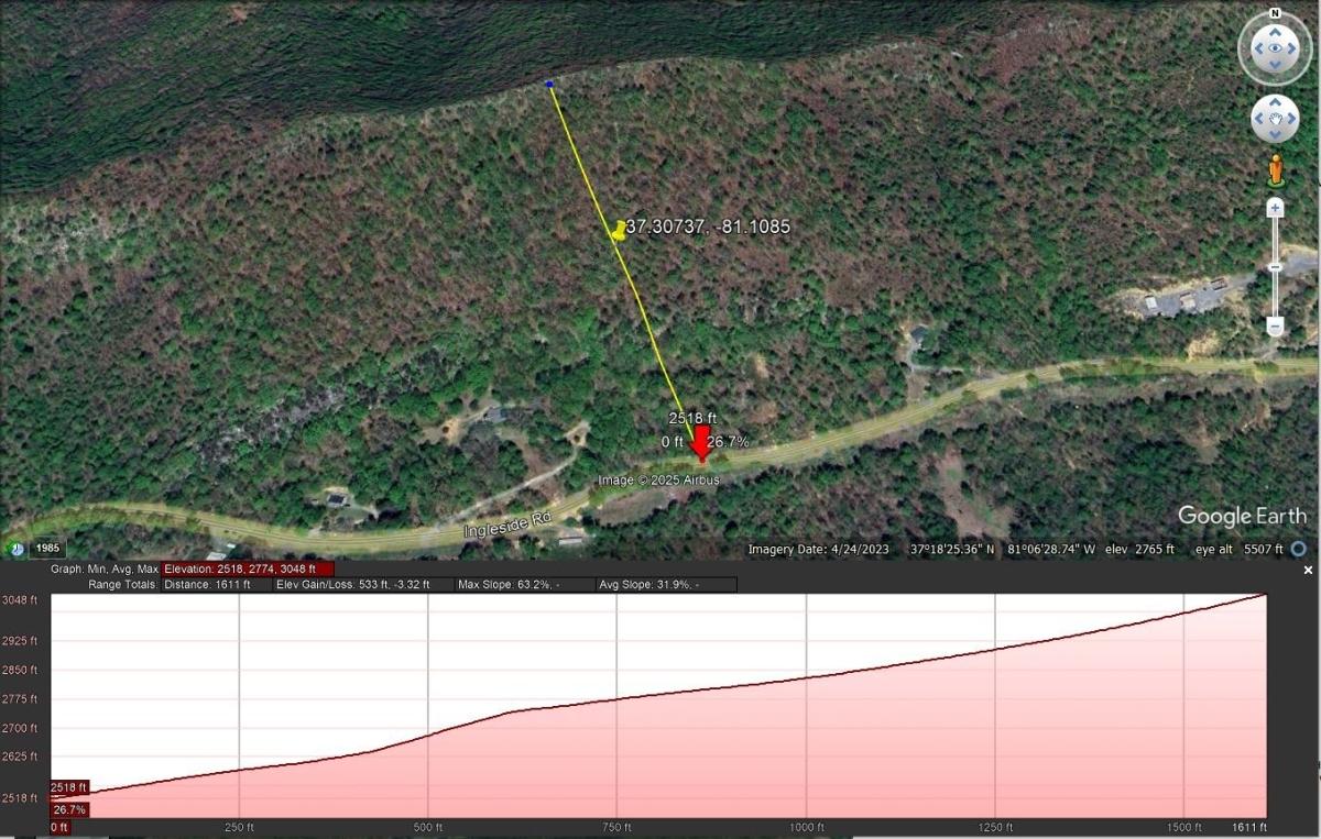 16.80 Acres for Sale in Bluefield, West Virginia