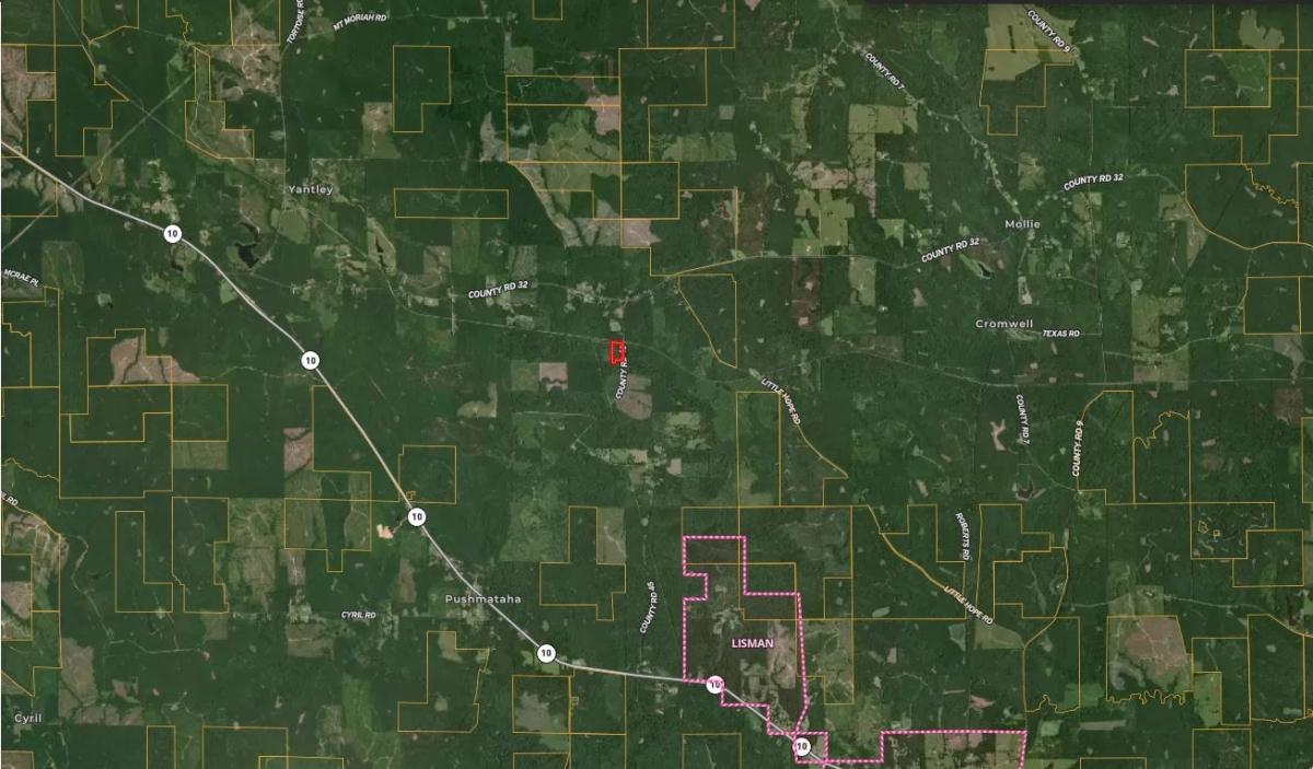 10.00 Acres for Sale in Lisman, Alabama