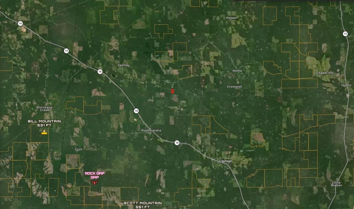 10.00 Acres for Sale in Lisman, Alabama