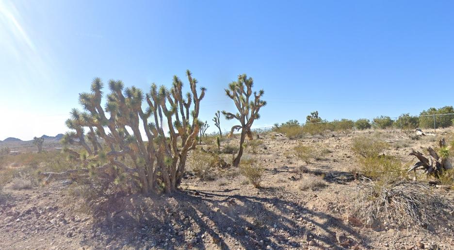 1.07 Acres for Sale in Dolan Springs, Arizona