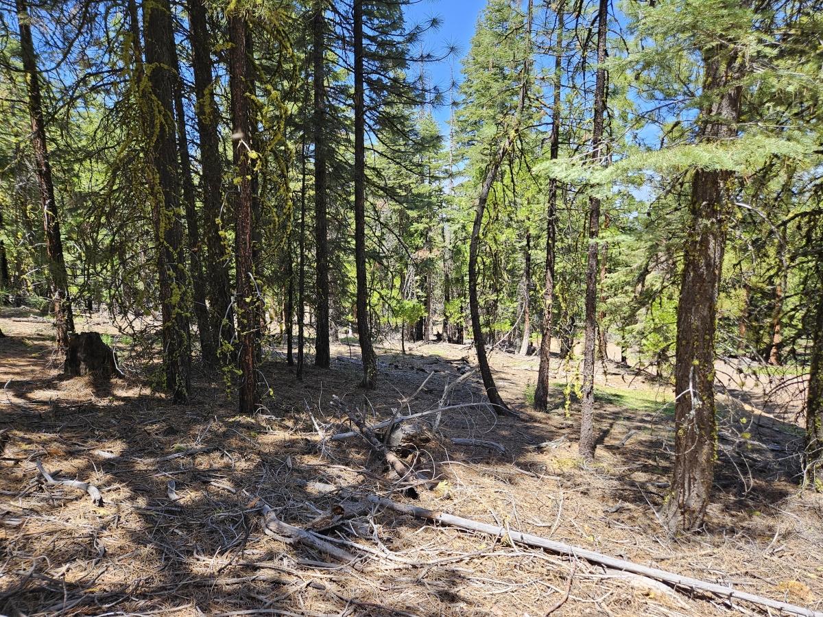 0.98 Acres for Sale in Alturas, California