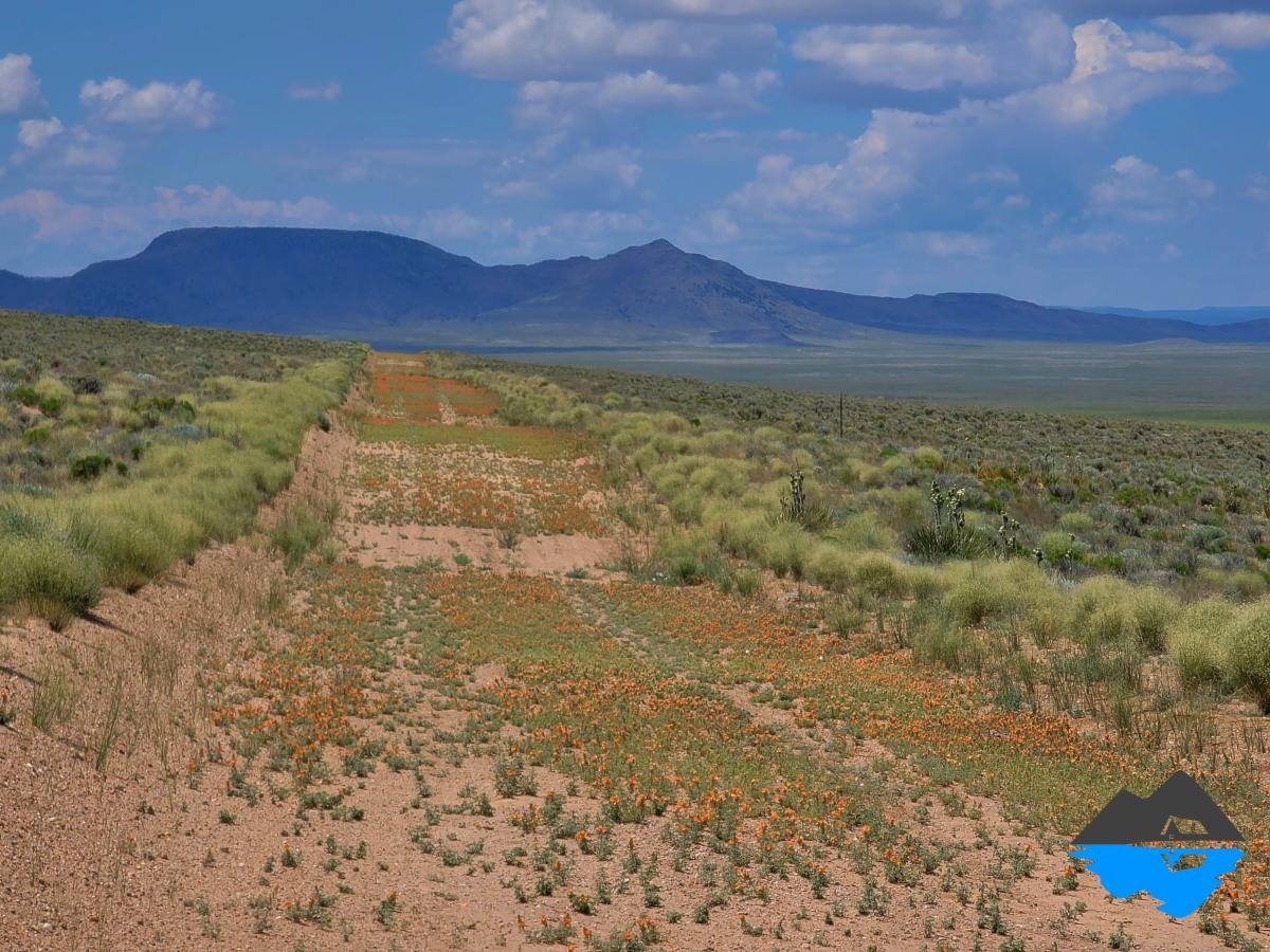 5 Acres for Sale in San Acacio, Colorado