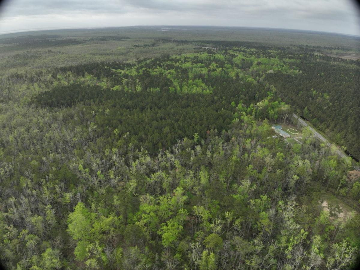 17 Acres for Sale in Columbia, North Carolina