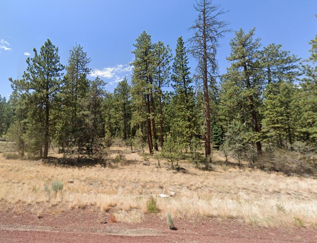 3.39 Acres for Sale in Hildebrand, Oregon