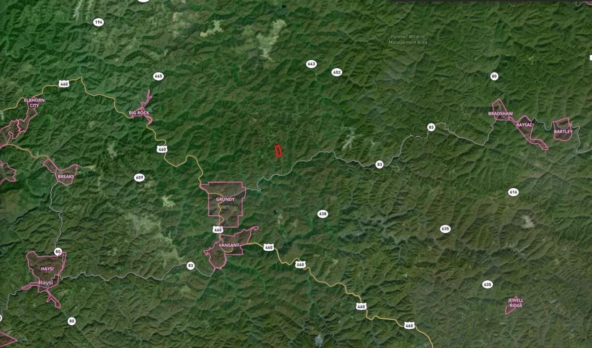 100.00 Acres for Sale in Grundy, Virginia