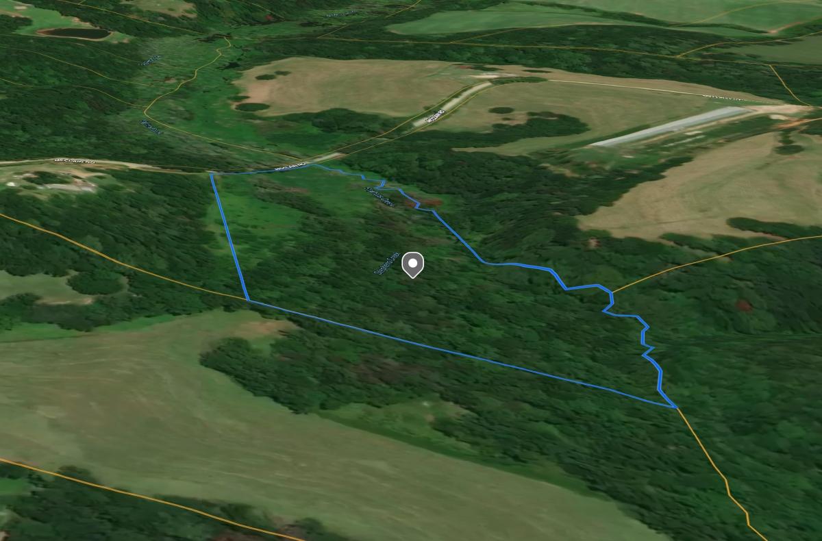 8 Acres for Sale in Martin, Georgia