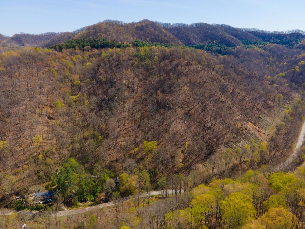 32.94 Acres for Sale in Grundy, Virginia