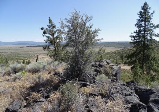 4.20 Acres for Sale in Sprague River, Oregon