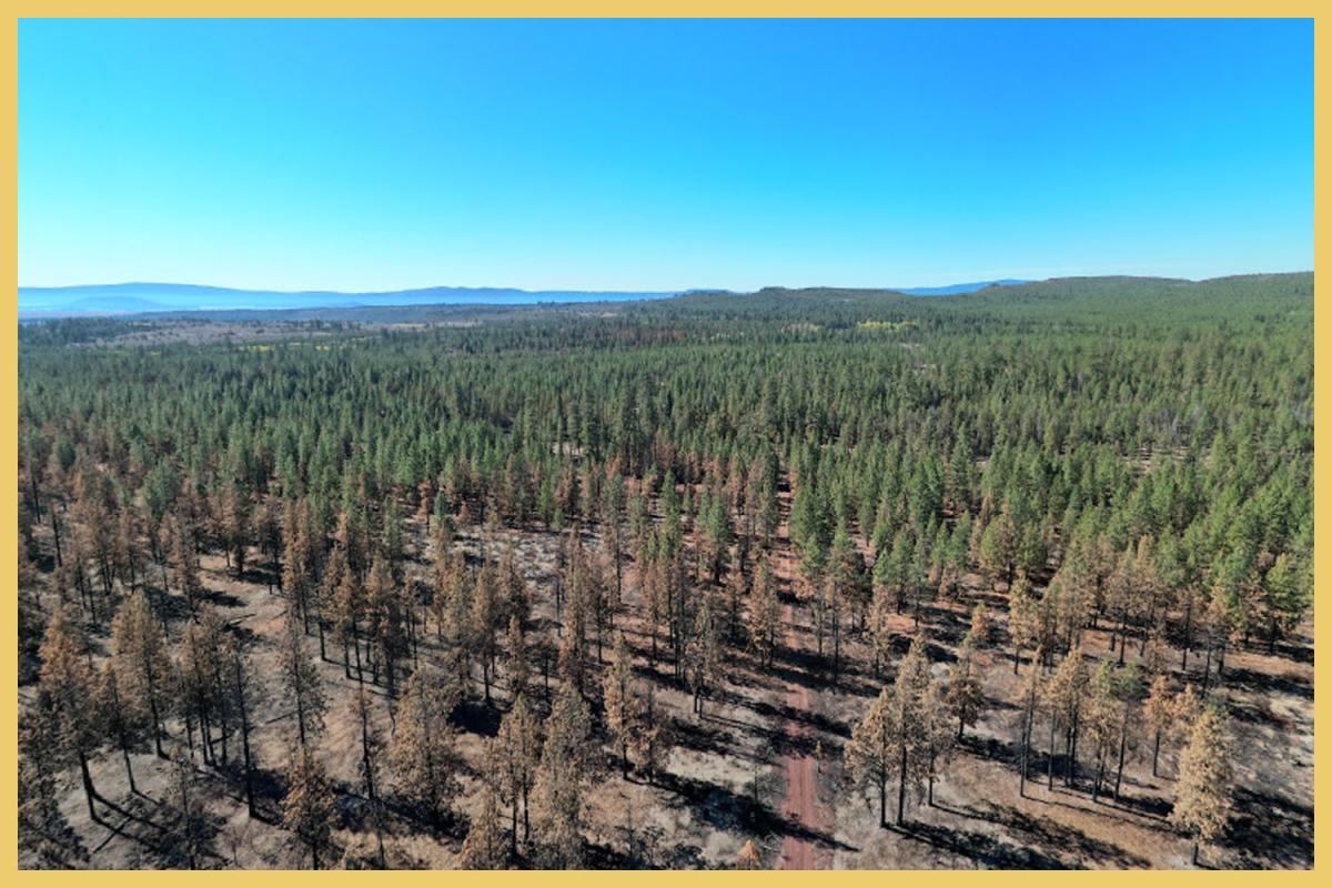 1.54 Acres for Sale in Chiloquin, Oregon