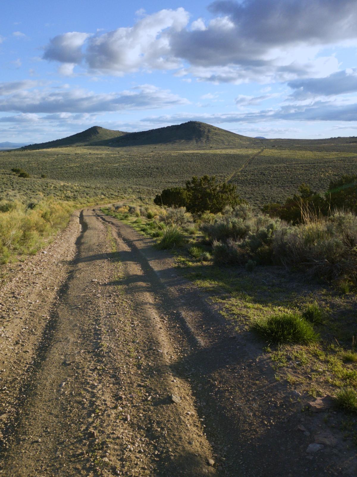 1.03 Acres for Sale in Ryndon, Nevada