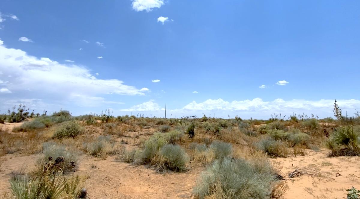 1.00 Acres for Sale in Agua Dulce, Texas