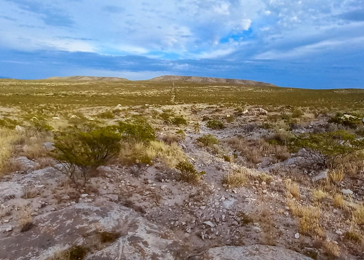 27 Acres for Sale in Salt Flat, Texas