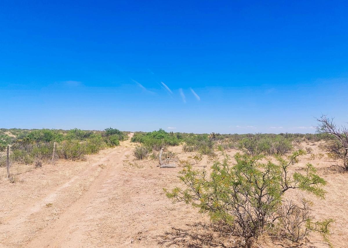 27 Acres for Sale in Salt Flat, Texas