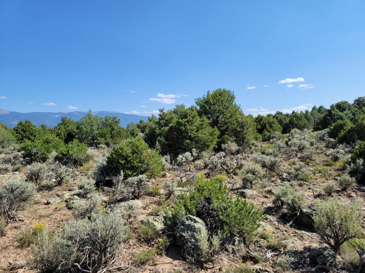 1.75 Acres for Sale in San Luis, Colorado