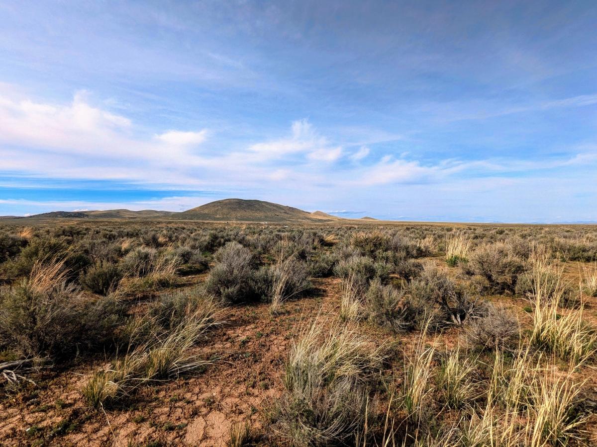 1.02 Acres for Sale in Elko, Nevada