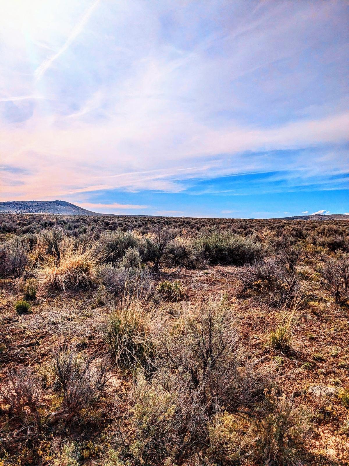 1.02 Acres for Sale in Elko, Nevada