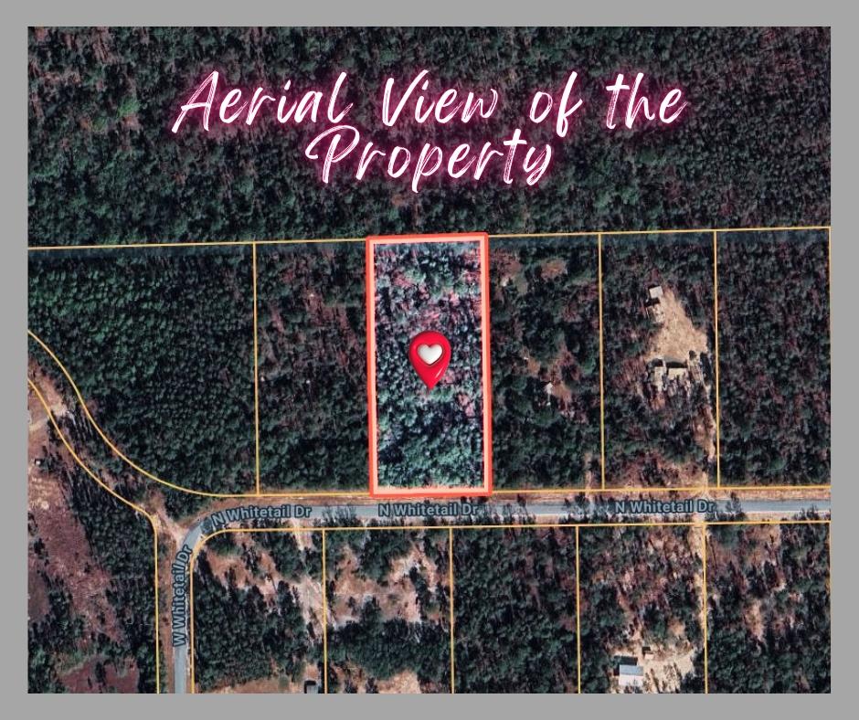 2 Acres for Sale in Perry, Florida