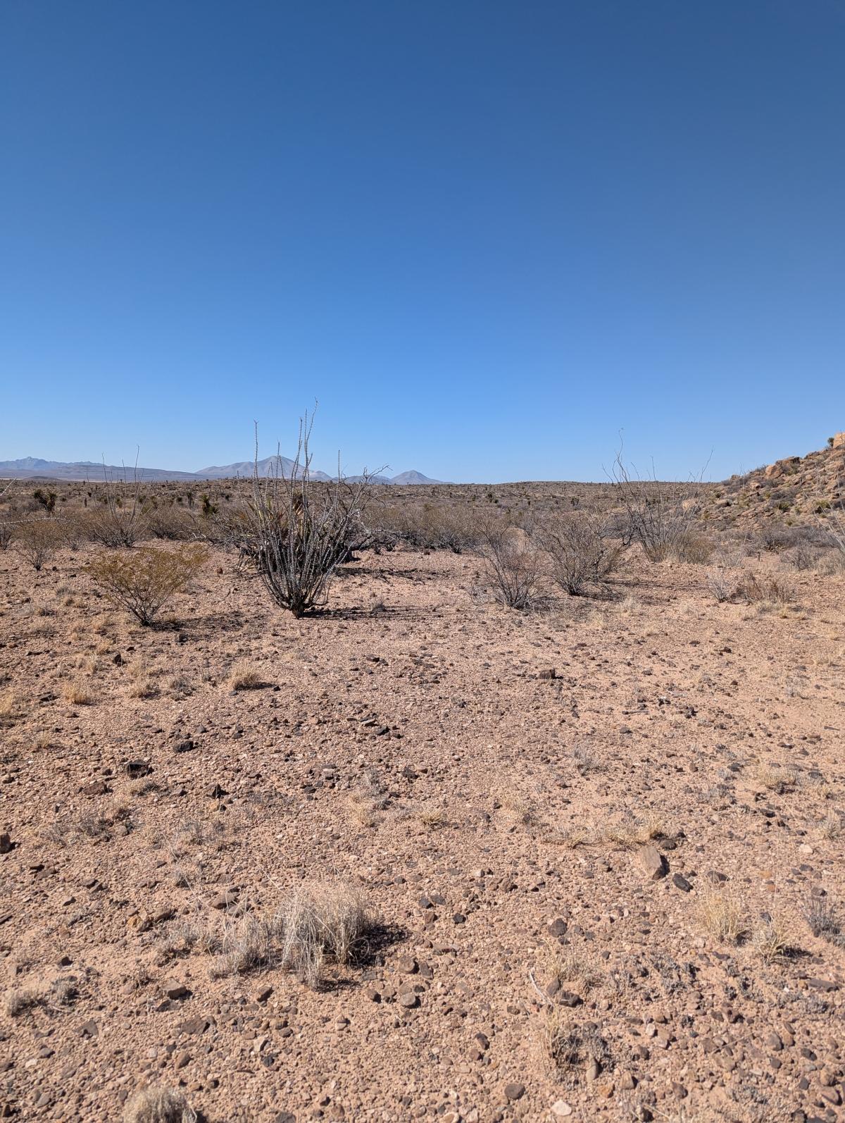 20 Acres for Sale in Mile High, Texas