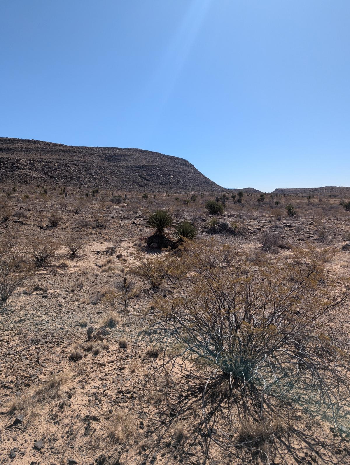 20 Acres for Sale in Mile High, Texas