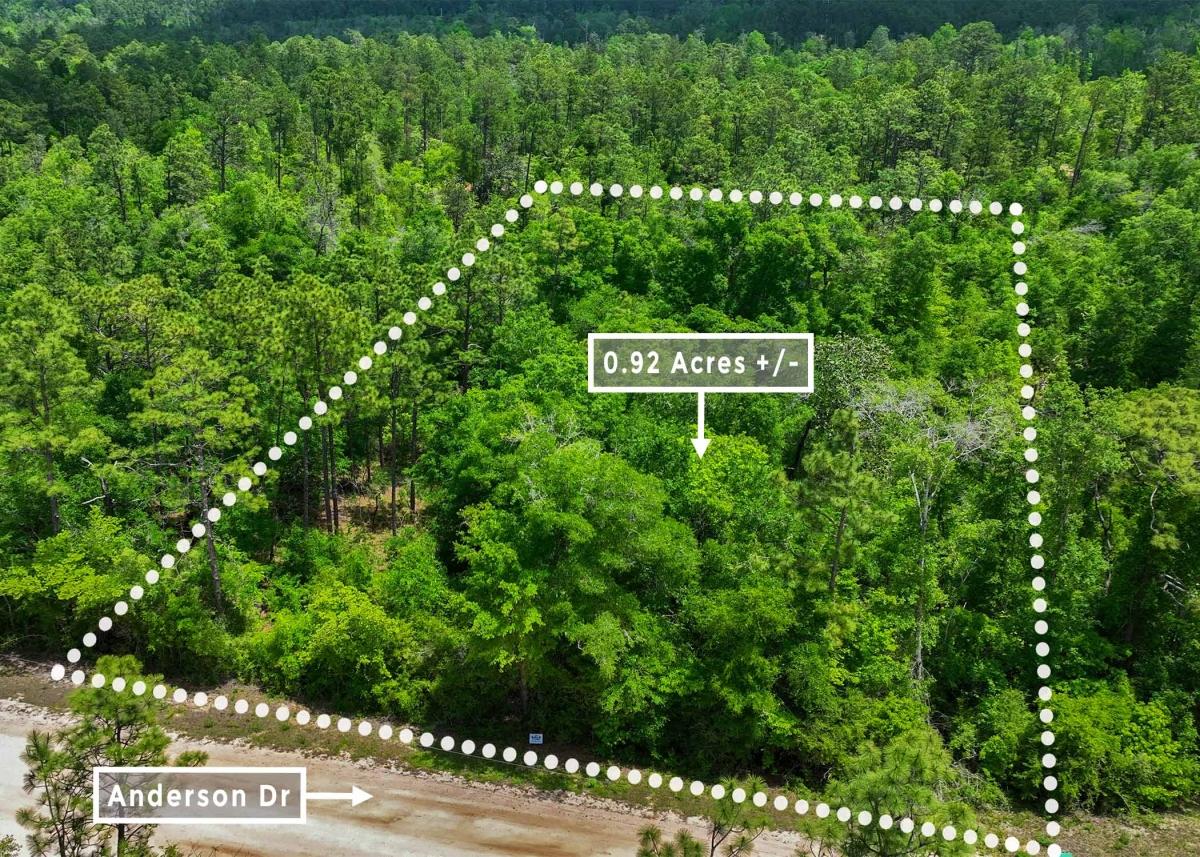 0.92 Acres for Sale in Alford, Florida
