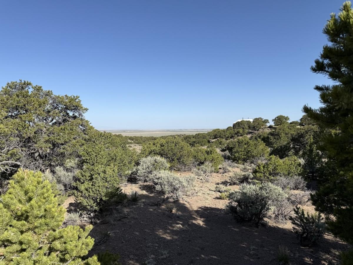 5.09 Acres for Sale in Fort Garland, Colorado