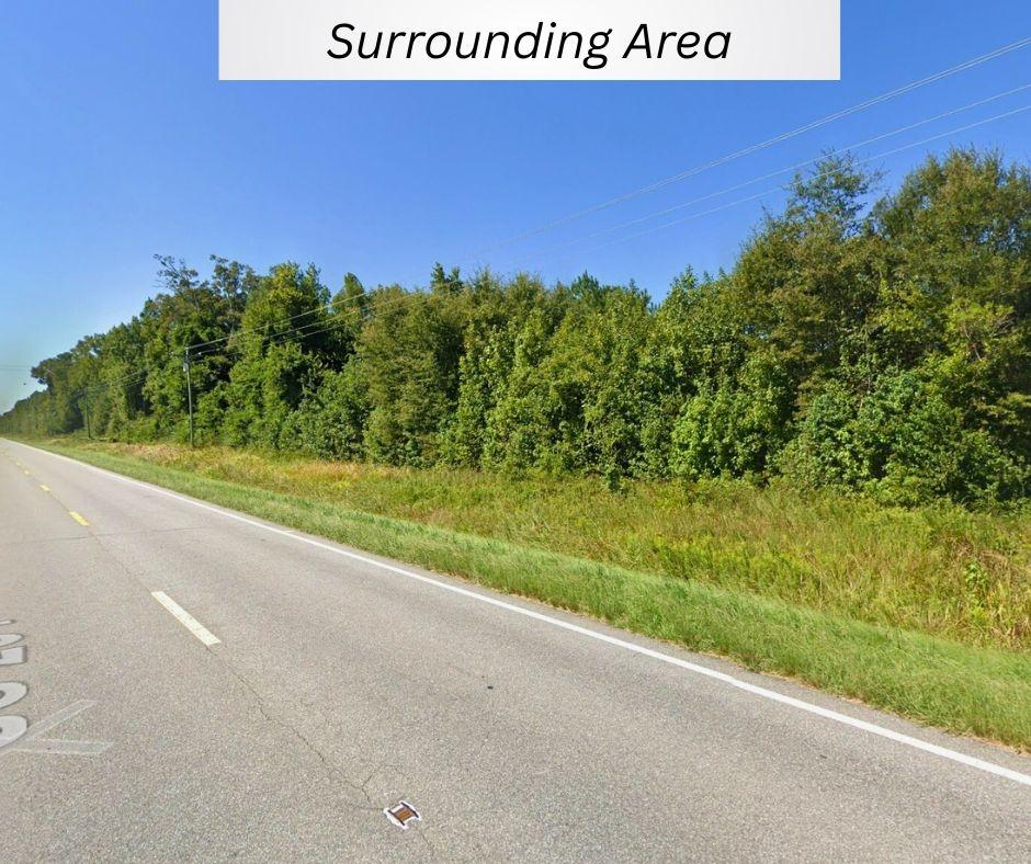 1.20 Acres for Sale in Pantego, North Carolina