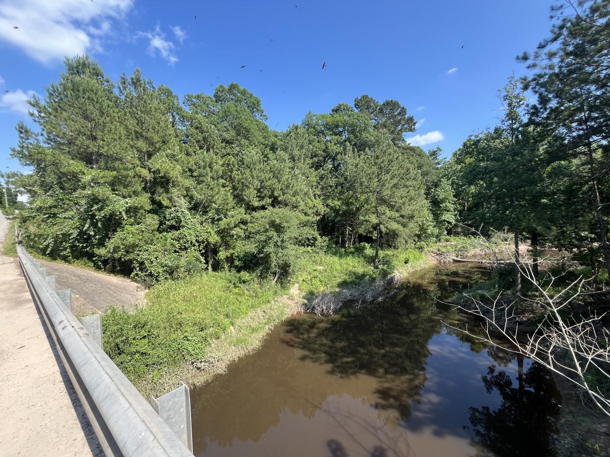 1.15 Acres for Sale in Big Thicket Lake Estates, Texas