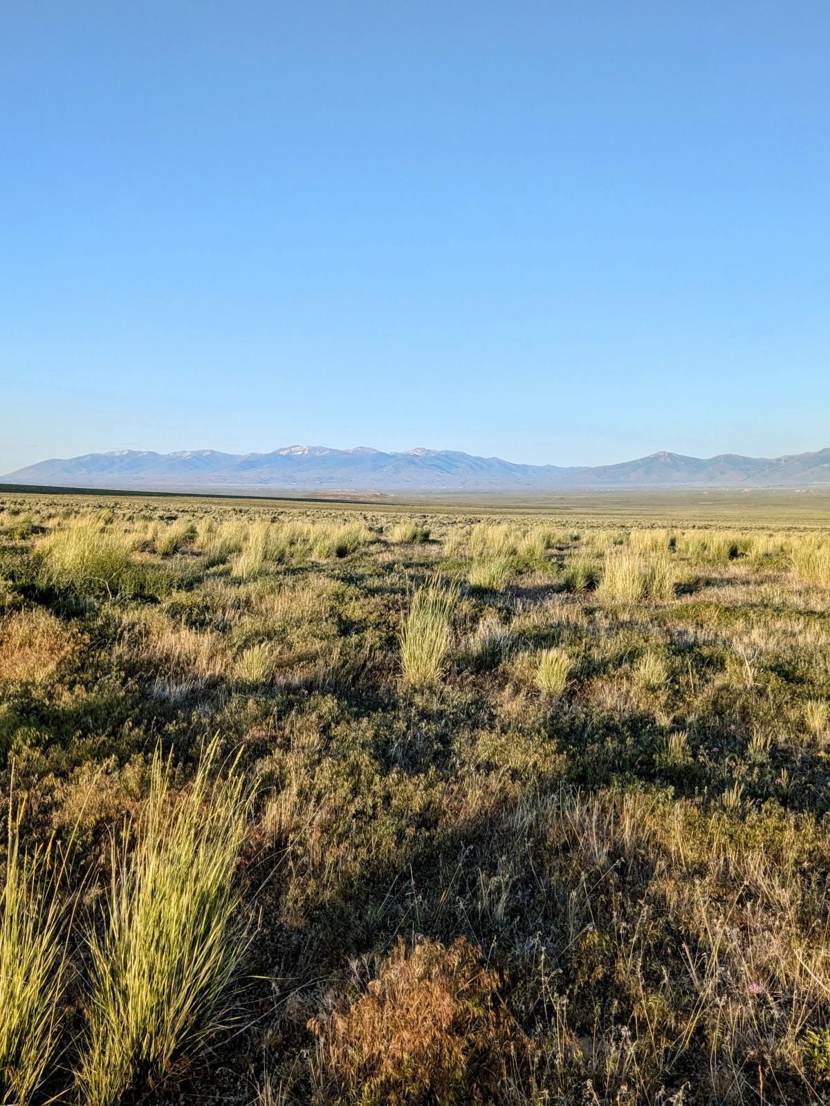 1 Acres for Sale in Spring Creek, Nevada