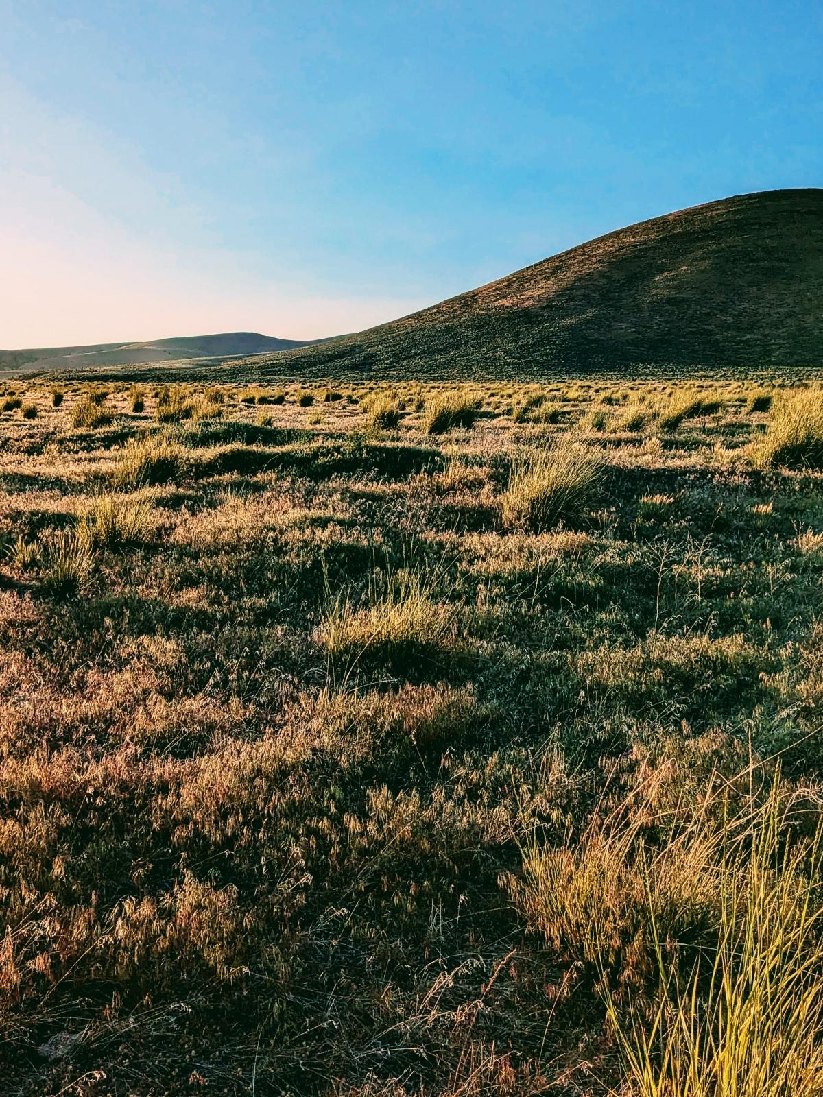 1 Acres for Sale in Spring Creek, Nevada