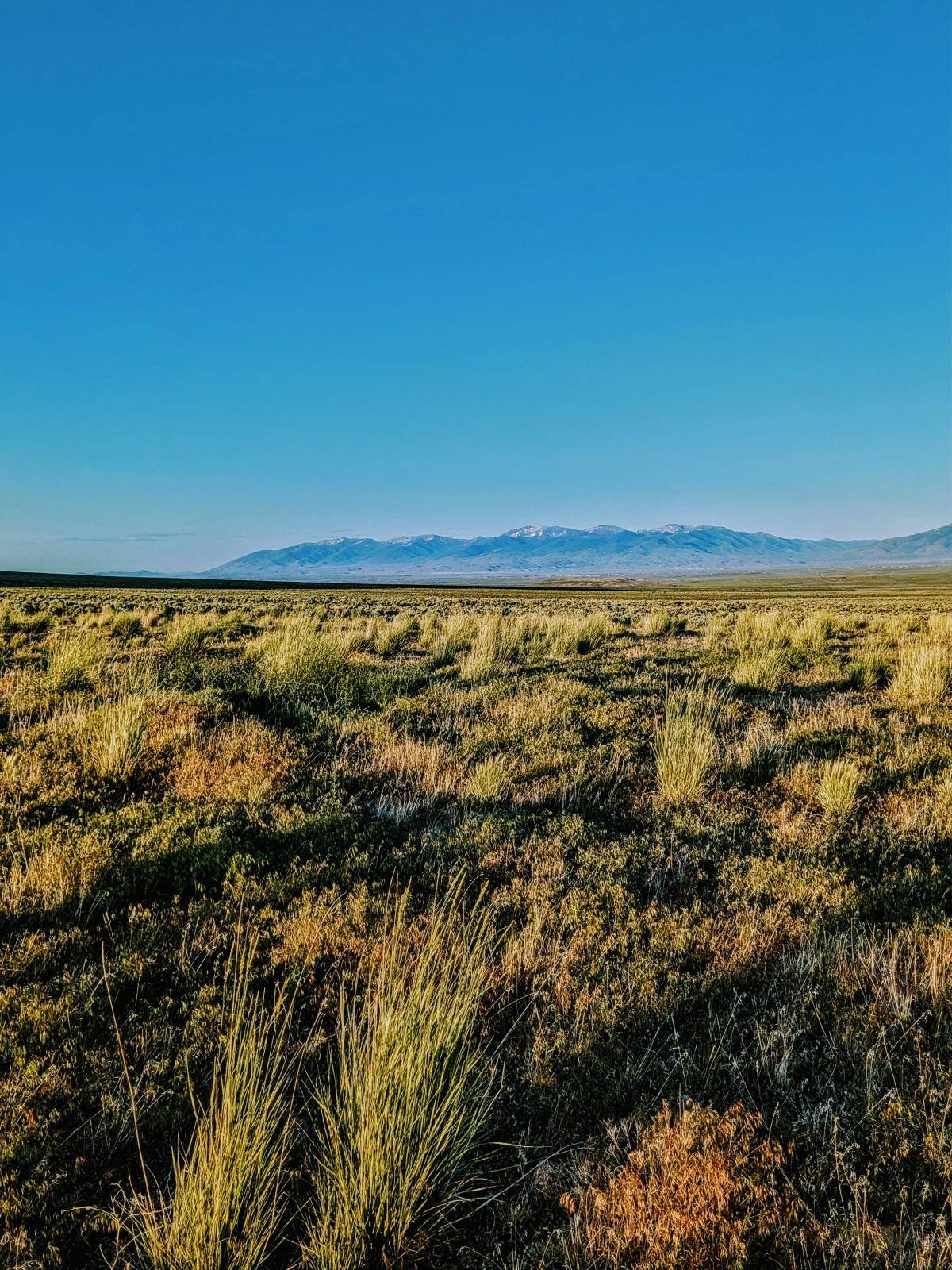 1 Acres for Sale in Spring Creek, Nevada