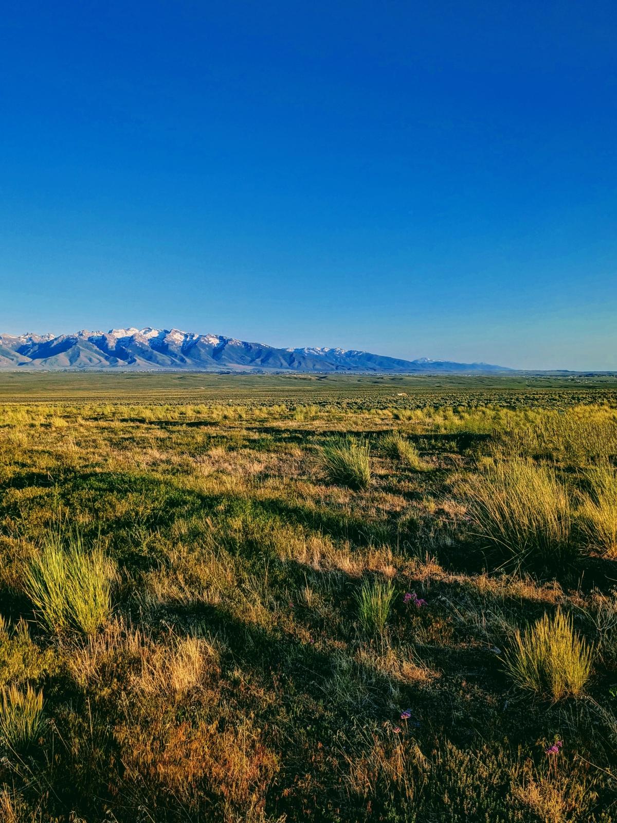 1 Acres for Sale in Spring Creek, Nevada