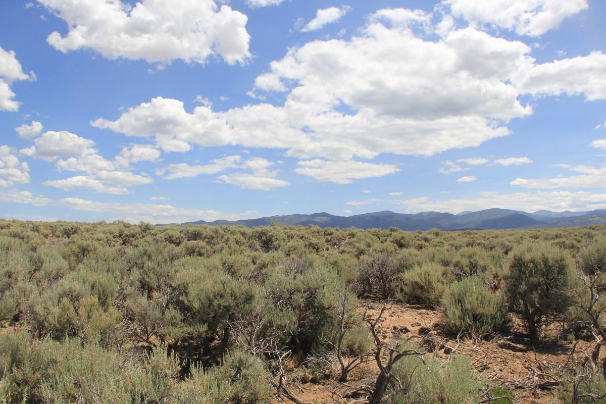 5.11 Acres for Sale in San Luis, Colorado