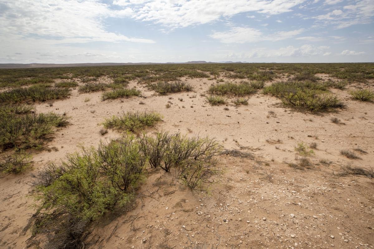 5.7 Acres for Sale in Plateau, Texas