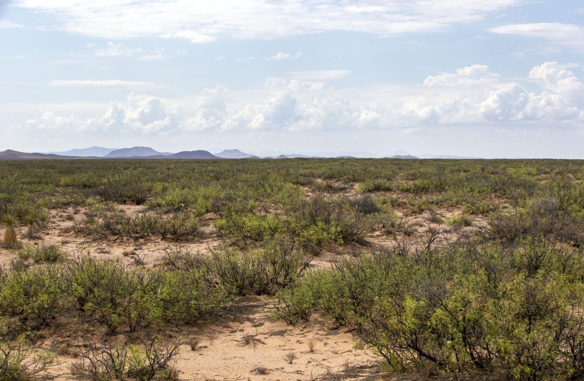 5.7 Acres for Sale in Plateau, Texas