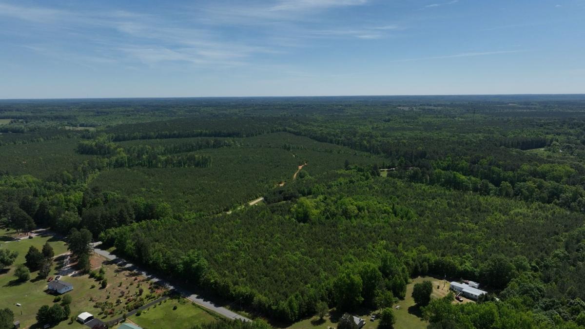 13.08 Acres for Sale in Alberta, Virginia