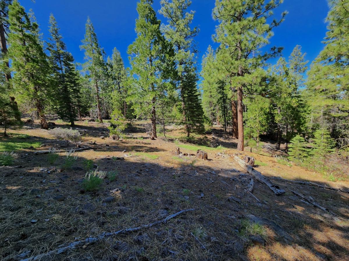 0.98 Acres for Sale in California Pines, California