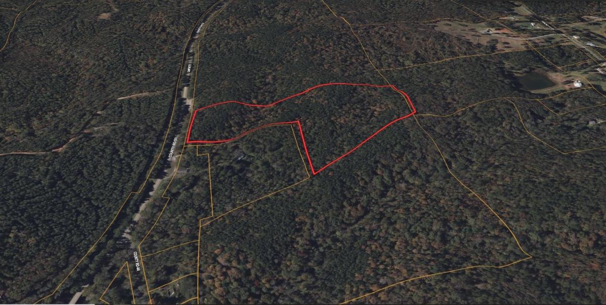 12.80 Acres for Sale in Goodwater, Alabama