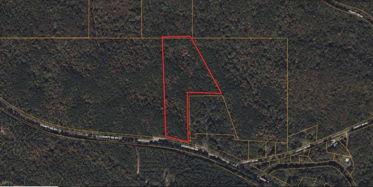 12.80 Acres for Sale in Goodwater, Alabama