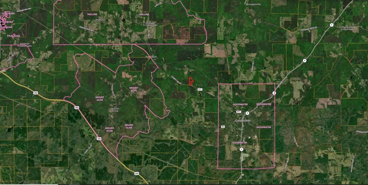 12.80 Acres for Sale in Goodwater, Alabama
