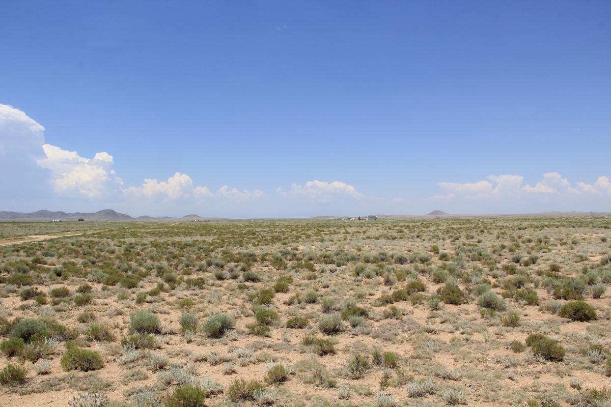 5 Acres for Sale in Blanca, Colorado