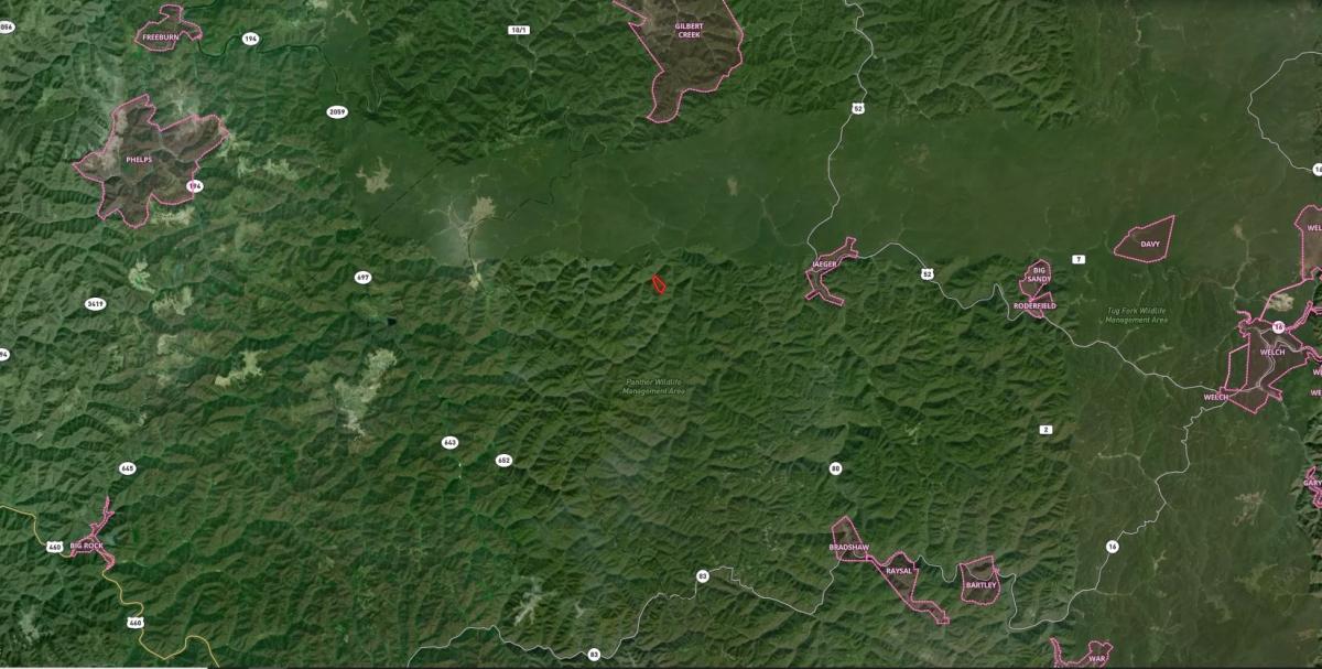 37.6 Acres for Sale in Panther, West Virginia