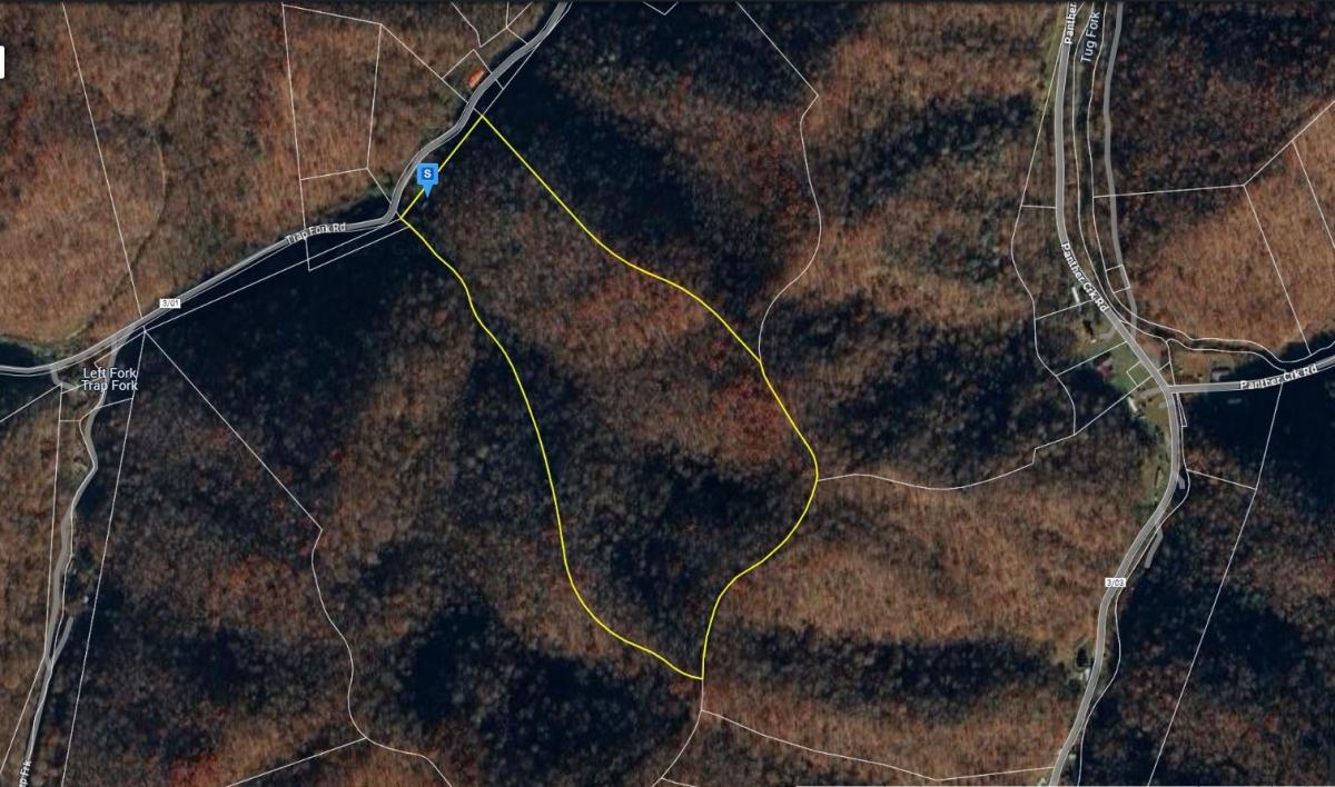 37.6 Acres for Sale in Panther, West Virginia