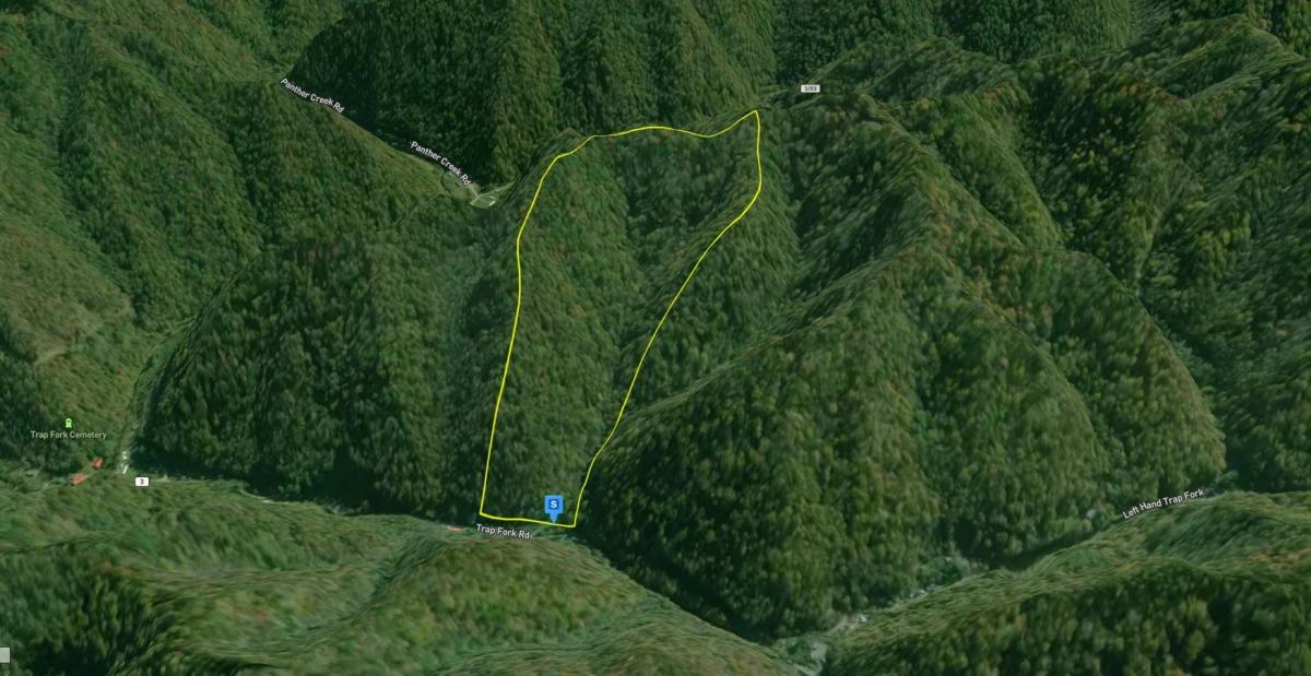 37.6 Acres for Sale in Panther, West Virginia