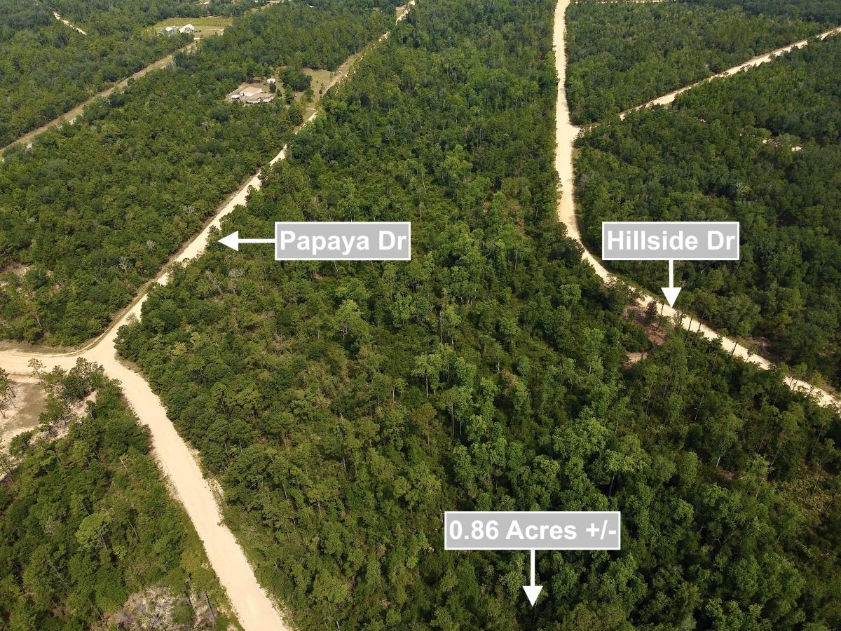 0.86 Acres for Sale in Marianna, Florida