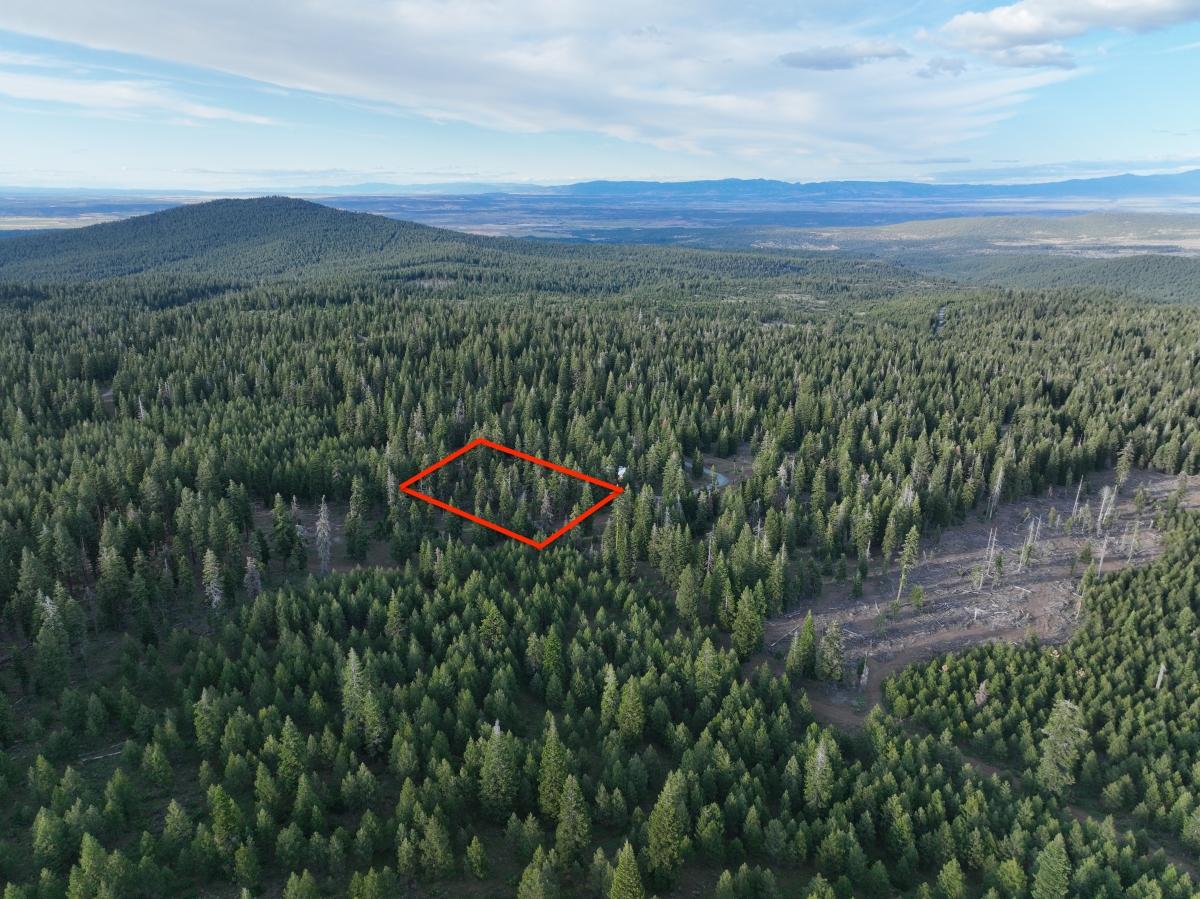 2.33 Acres for Sale in California Pines, California